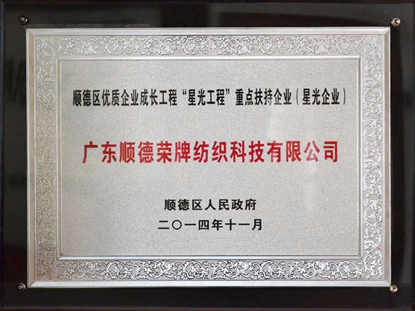 NG28娱乐-2012年获顺德政府颁发“星光企业”称号