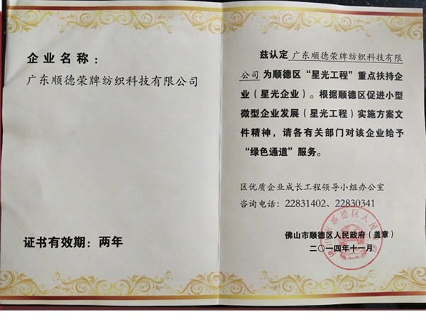 NG28娱乐荣获政府重点扶持企业